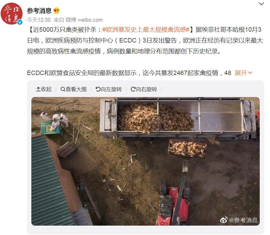 關(guān)注！歐洲暴發(fā)史上最大規(guī)模禽流感，波及37個國家！近5000萬只禽類被撲殺，蛋價(jià)會上漲么？