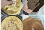 飼料原料驗(yàn)收的“望、聞、問、切”